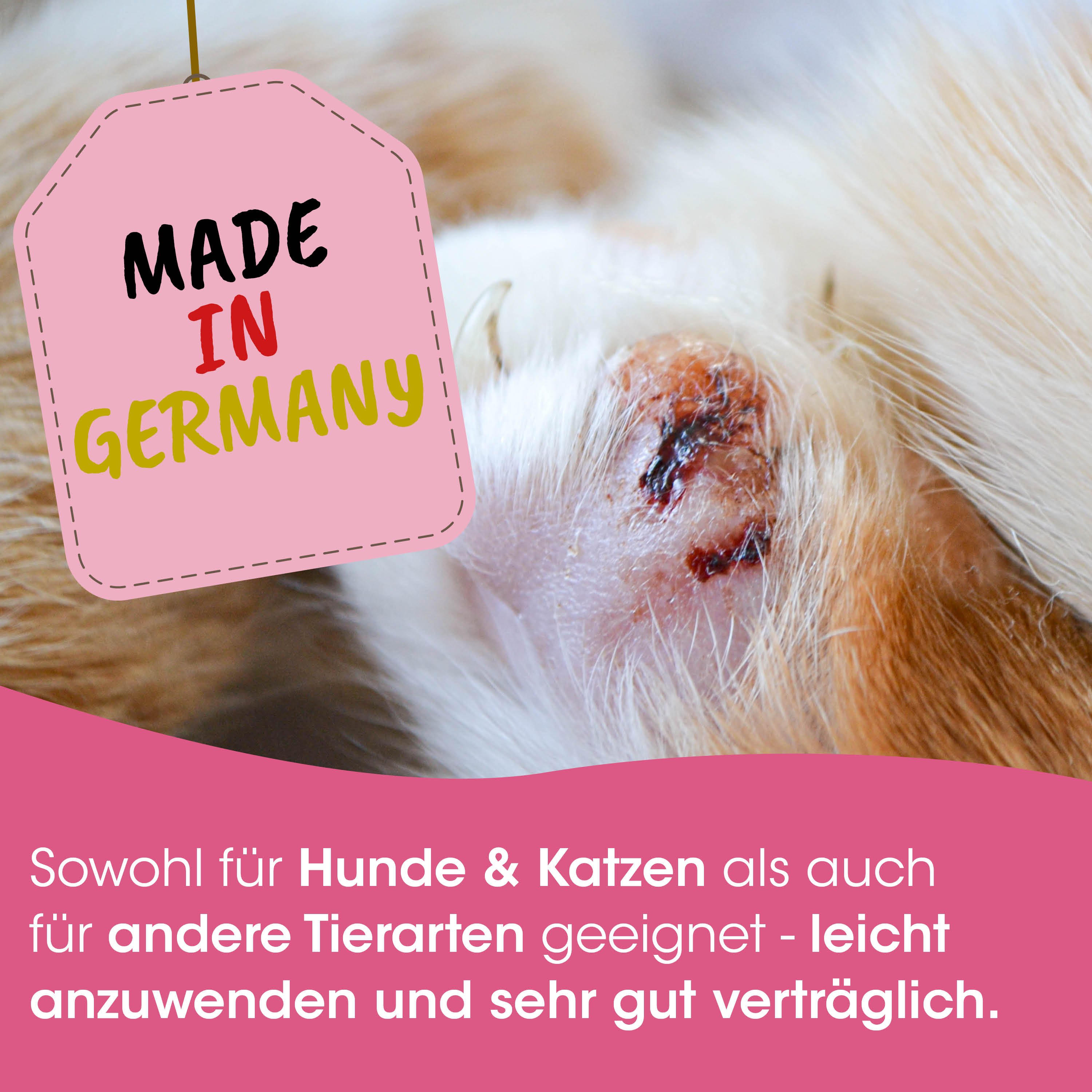 Wunde, Verletzung, Hundenohr, rosa Anhänger, Made in Germany