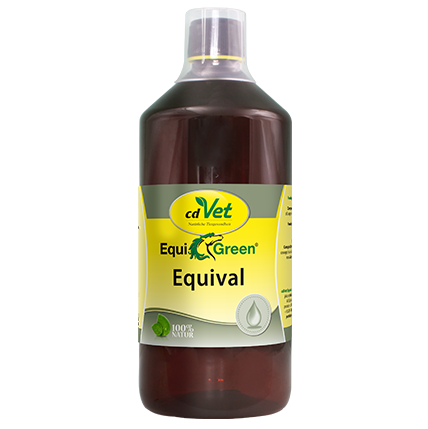 antiemetic?, equine supplement, liquid supplement, brown bottle, label text: Equival