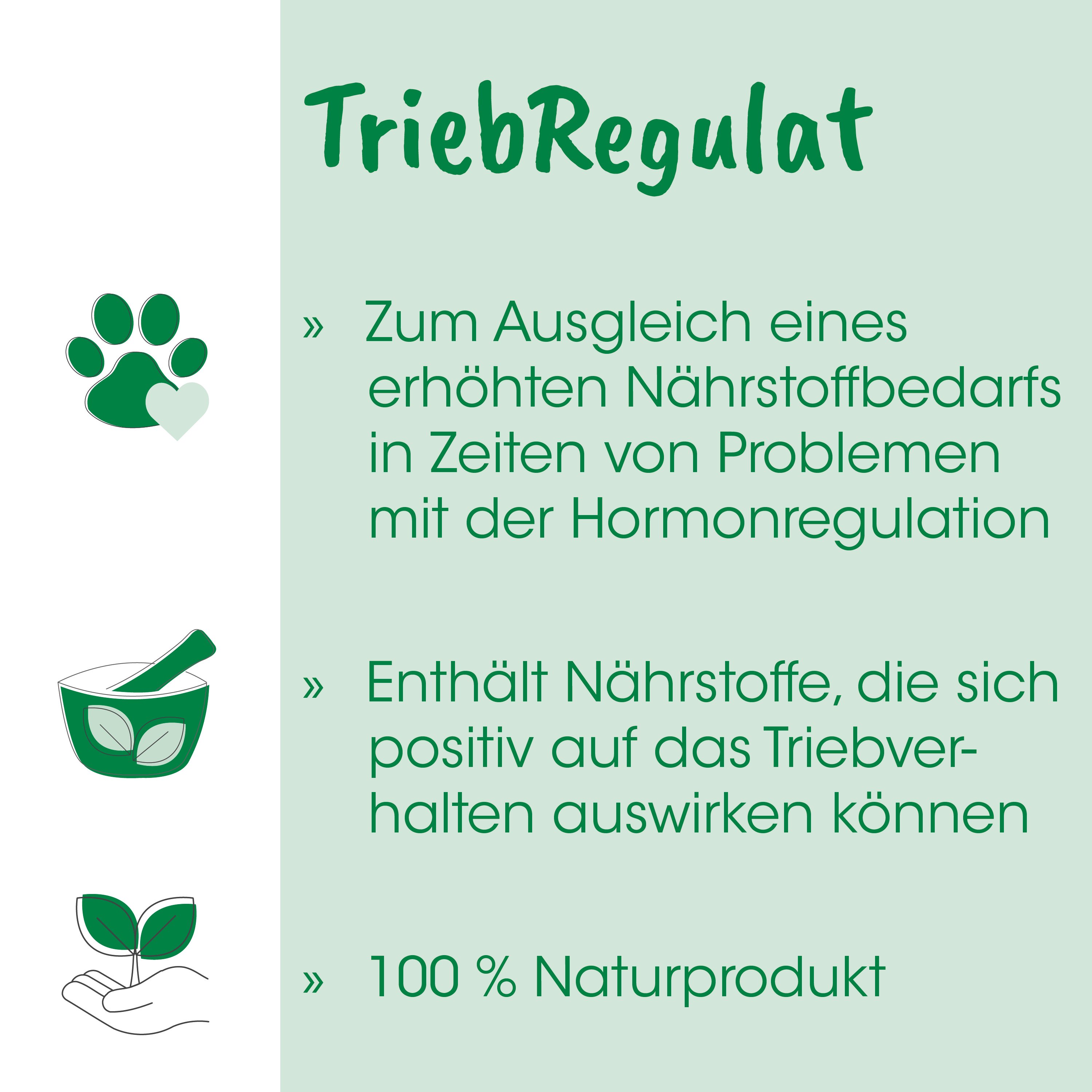 pfote, herzsymbol, grüner schüssel, blatt, naturprodukt