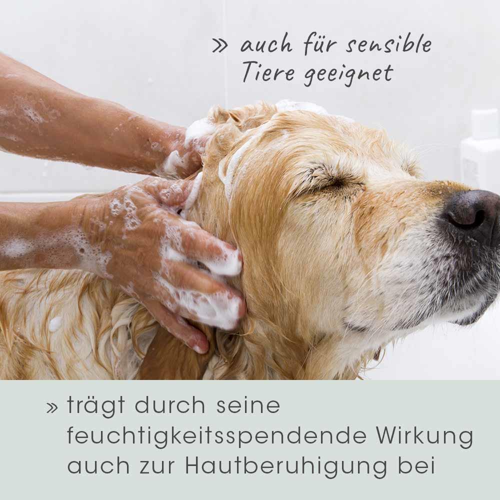 VeaVet Pflegeshampoo 1 L