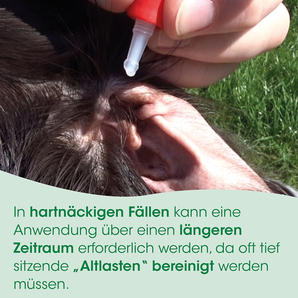 Ohr, Ohrläppchen, Ohrentropfer, Spritzbehälter, Anwendungswerkzeug