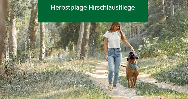 Person, Gehen, Vegetation, Hund, Hosen