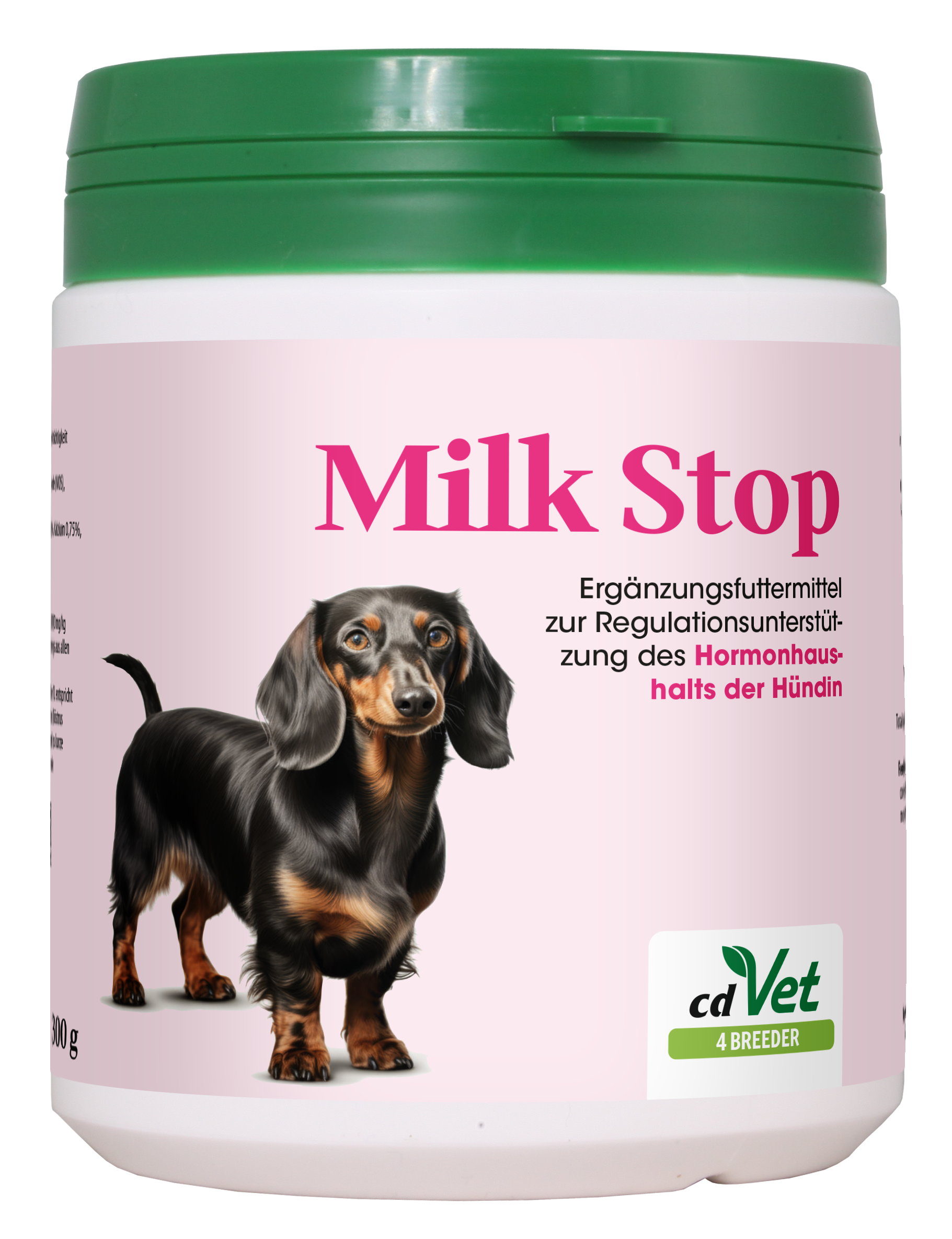 Kräuterig, Kräuter, Pflanze, Hund, Haustier