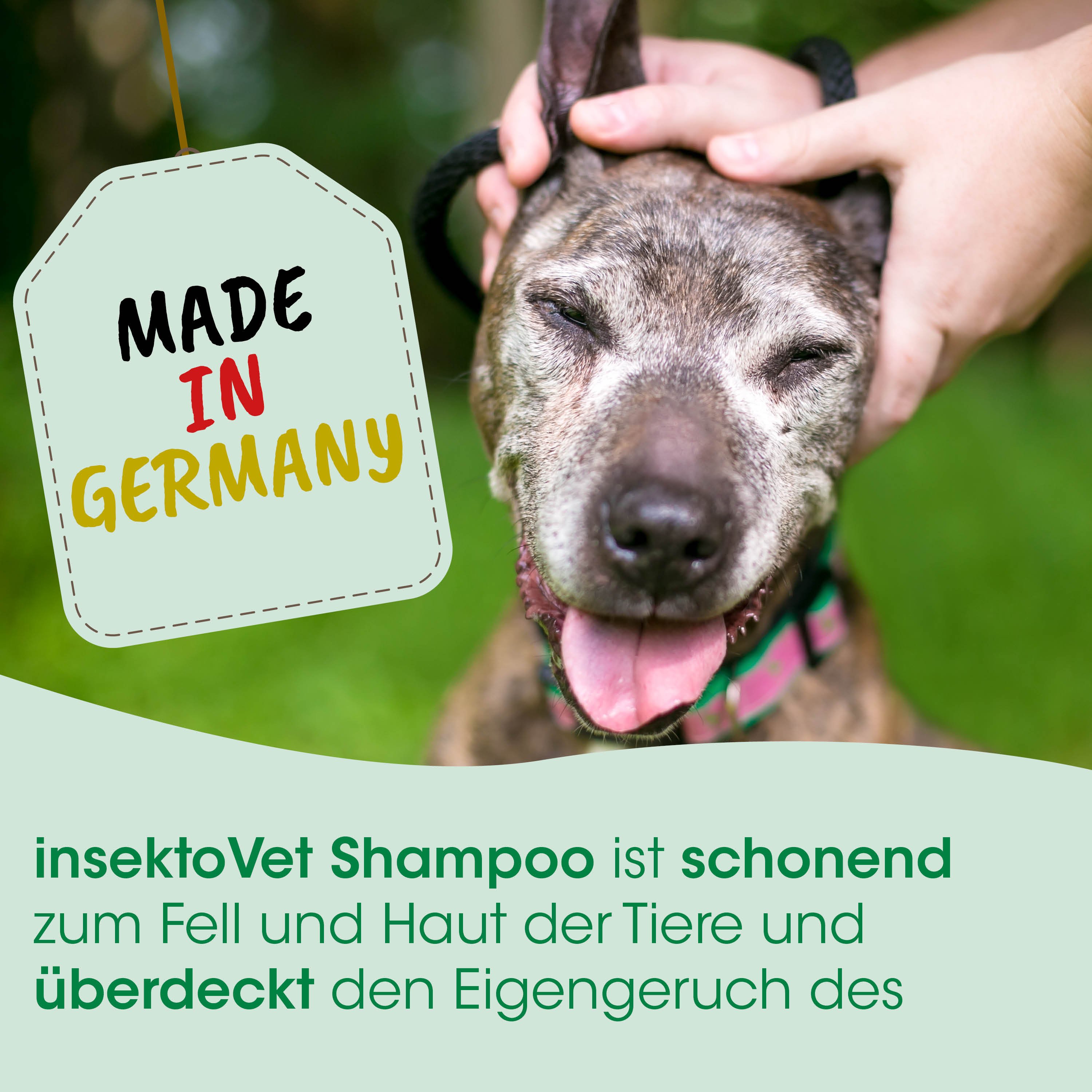 hund, hundehaarshampoo, made in Germany, halsband, außenbereich