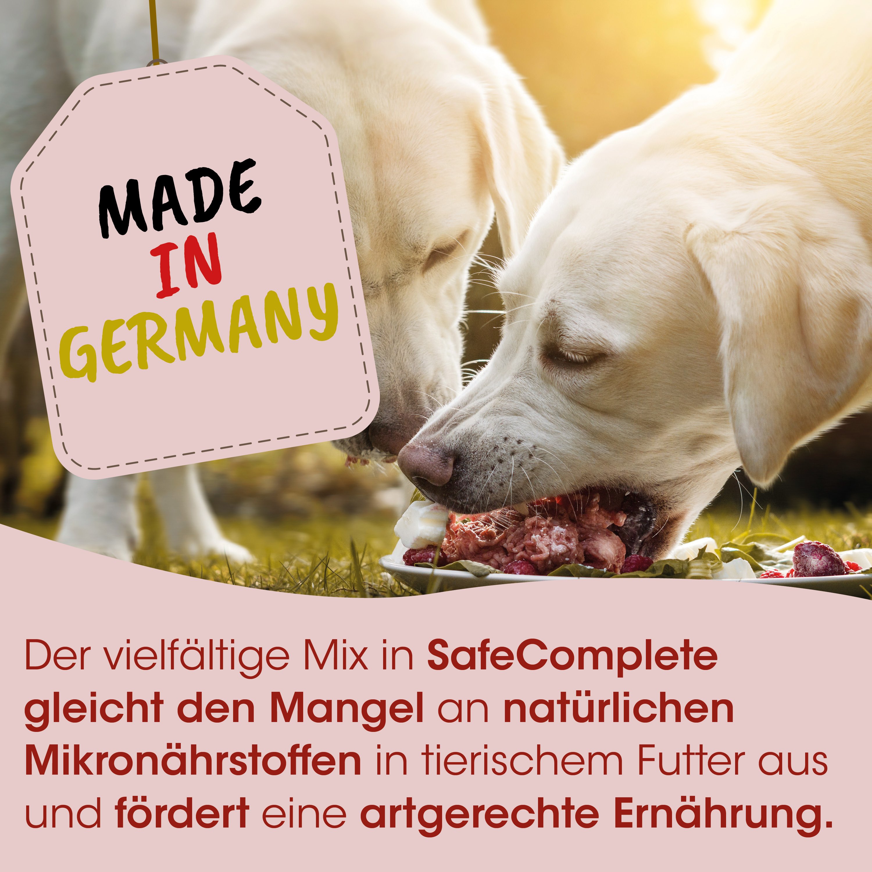 Hundefutter, Knochenmahlzeit, nassfutter, heller Hintergrund, Made in Germany