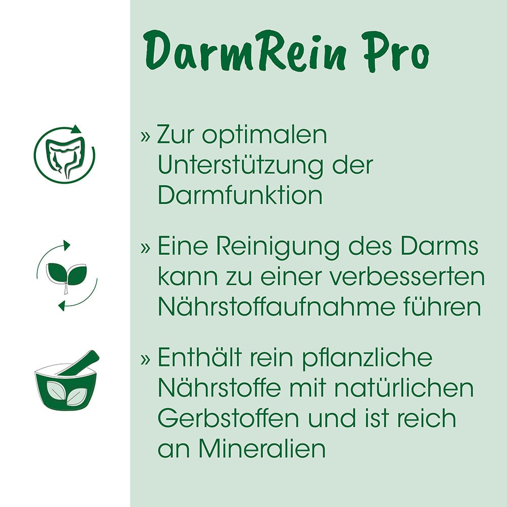 Darmrein Pro, Probiotisch, Kapsel, Pflanzlich, Nährstoffe