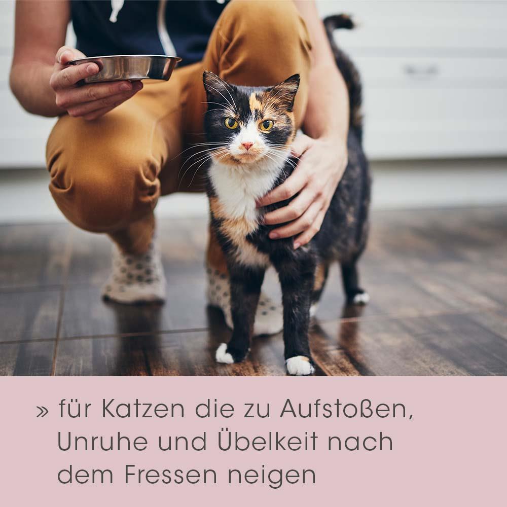 feliTATZ Magenschutz 200 g