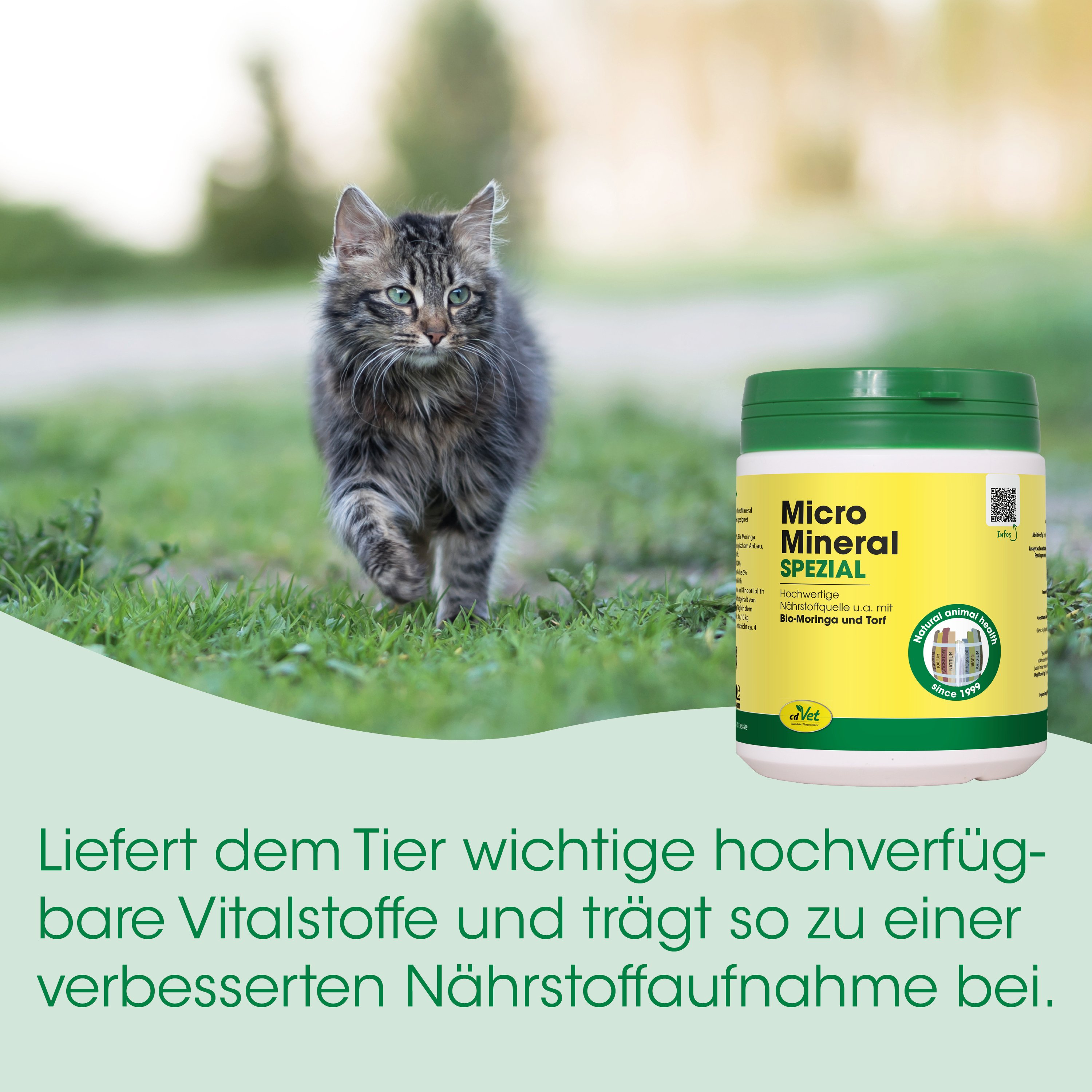 Katzenfutter, Nahrungsergänzung, Nährstofftabletten, Mineralische Nahrung, Tubenbehälter