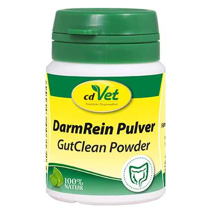 DarmRein Pulver 20 g -Sorbe-