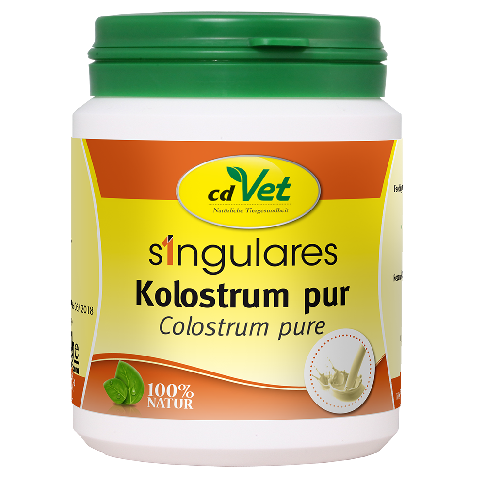 Kräuterig, Pflanze, Essen, Mayonnaise, Ketschup