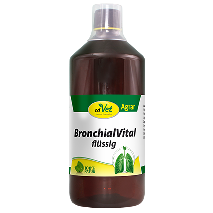 Bronchialpräparat, Flüssigpräparat, Braune Flasche, Tierpflege