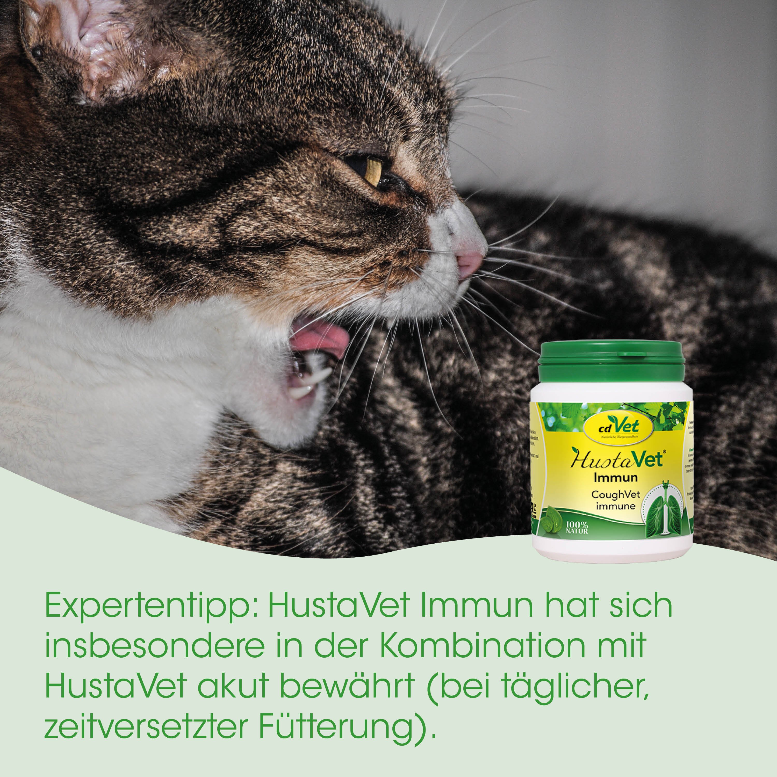 Katzenfutter, Immunsystem, Hustavet, Immun, Katzennahrung