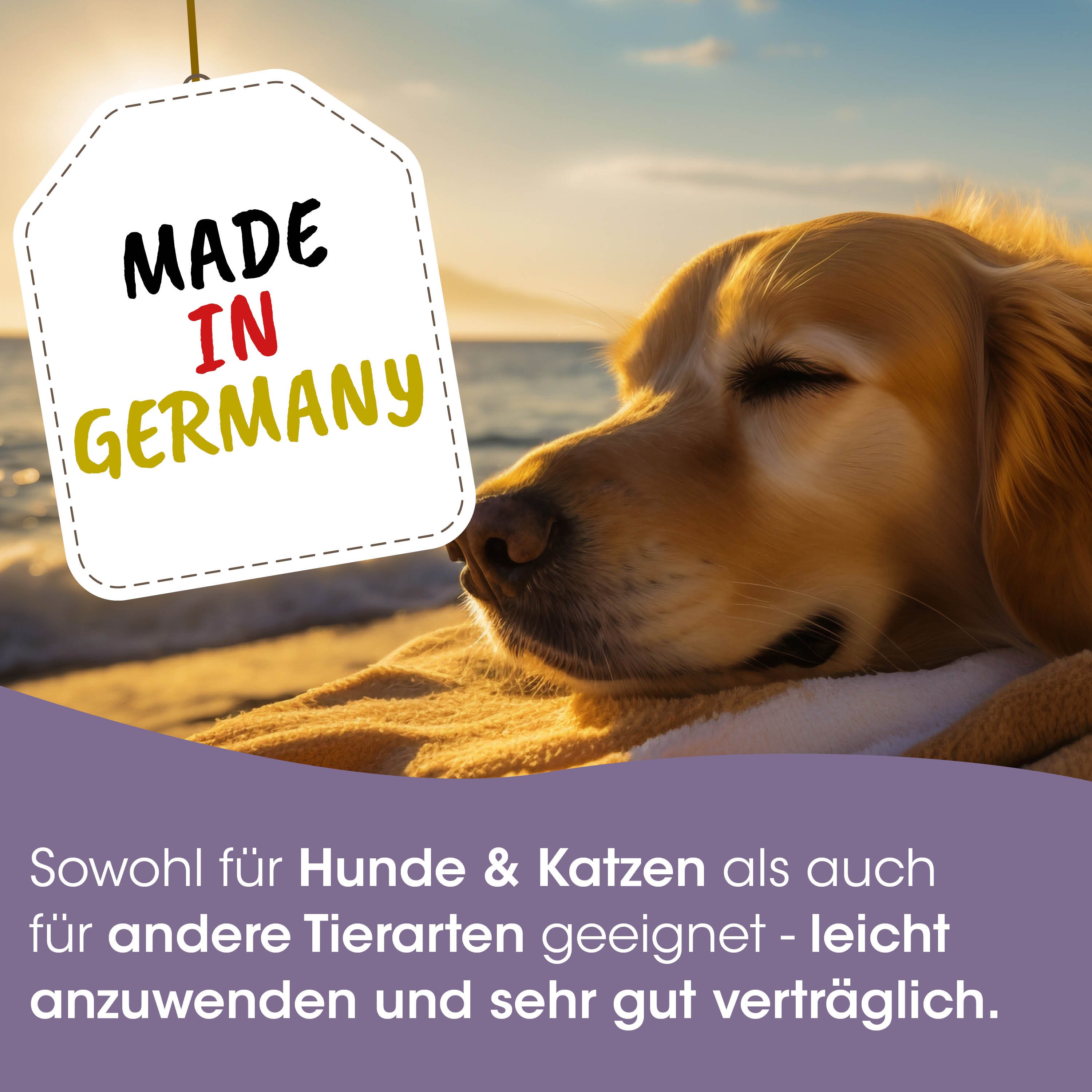Hund, Welpe, Beagle, Etikett, Hergestellt in Deutschland