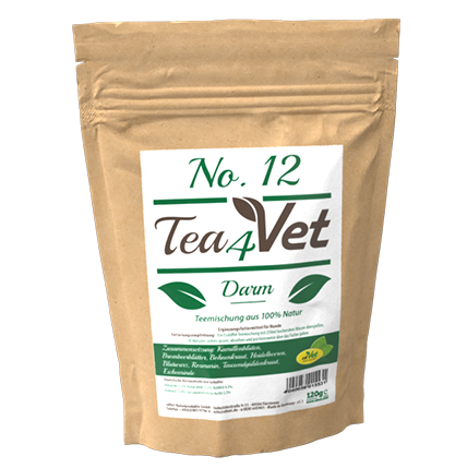 Tea4Vet No.12-Darm