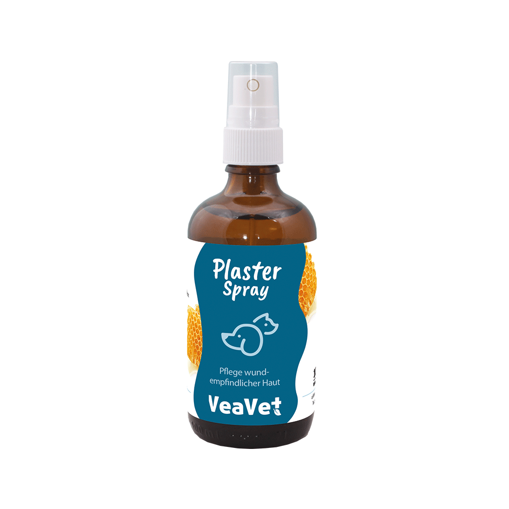 Essen, Würzen, Sirup, Flasche, Lotion