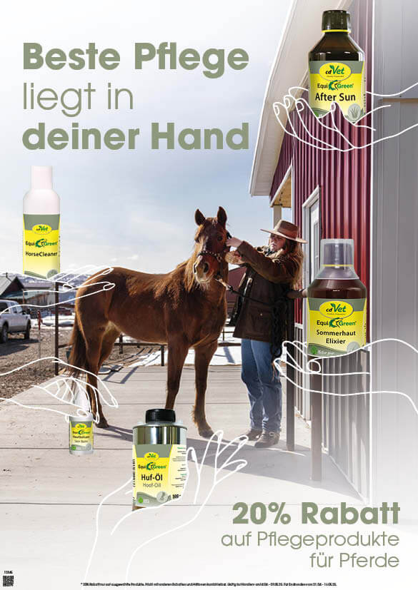 Werbung, Plakat, Colt Horse, Pferd, Säugetier