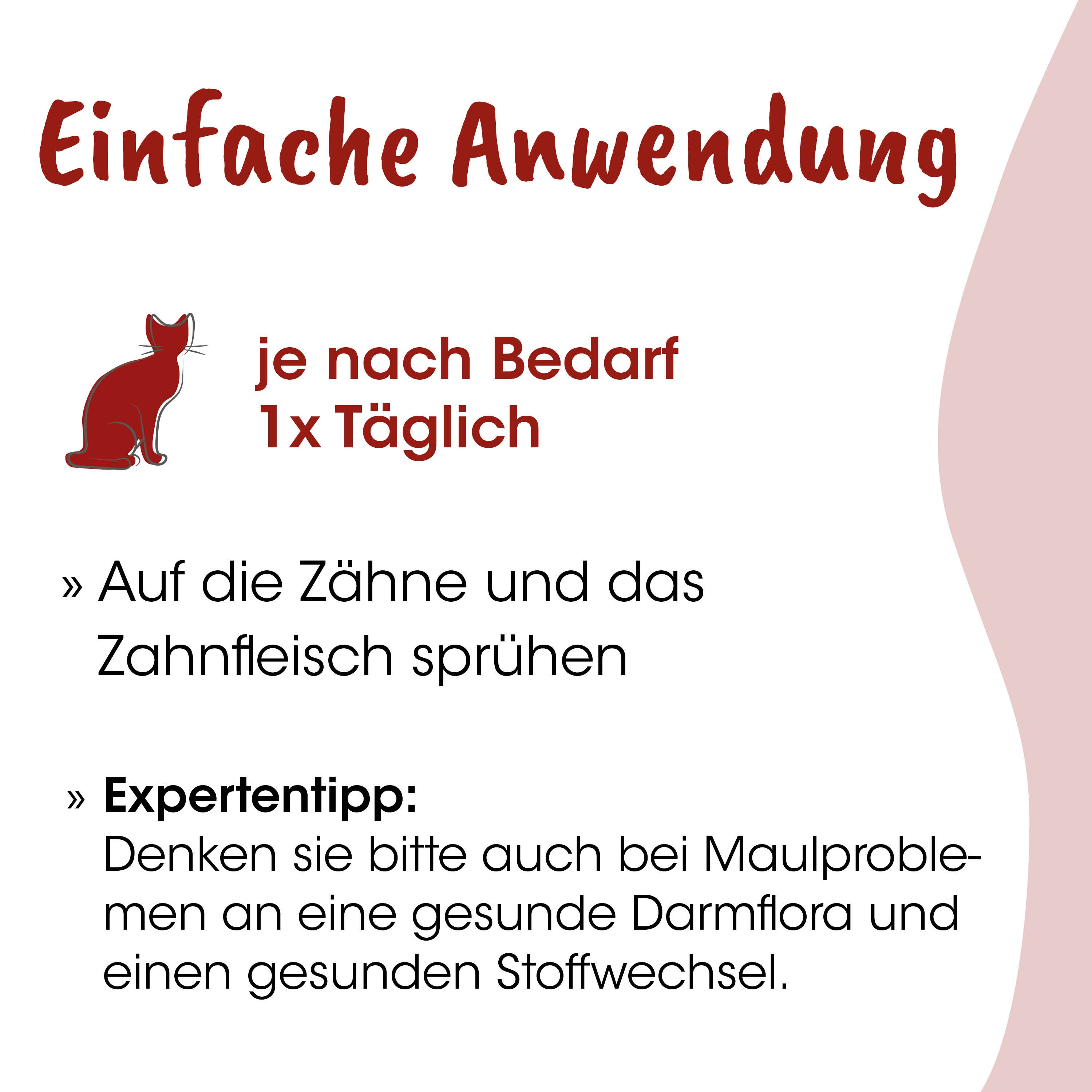Katze, rot, Illustration, Text, Zähne