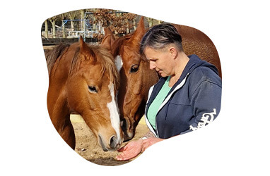 Doktor, Person, Tier, Pferd, Säugetier