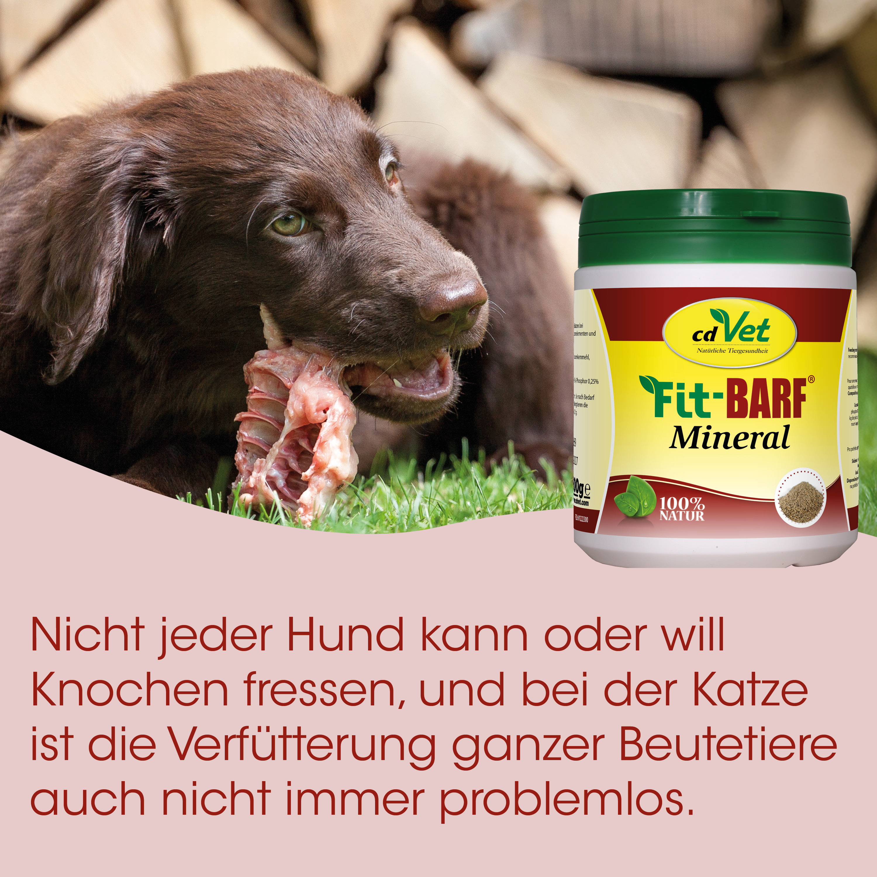 Hundesnack, Kauartikel, Knochen, Mineralfutter, Tiernahrung