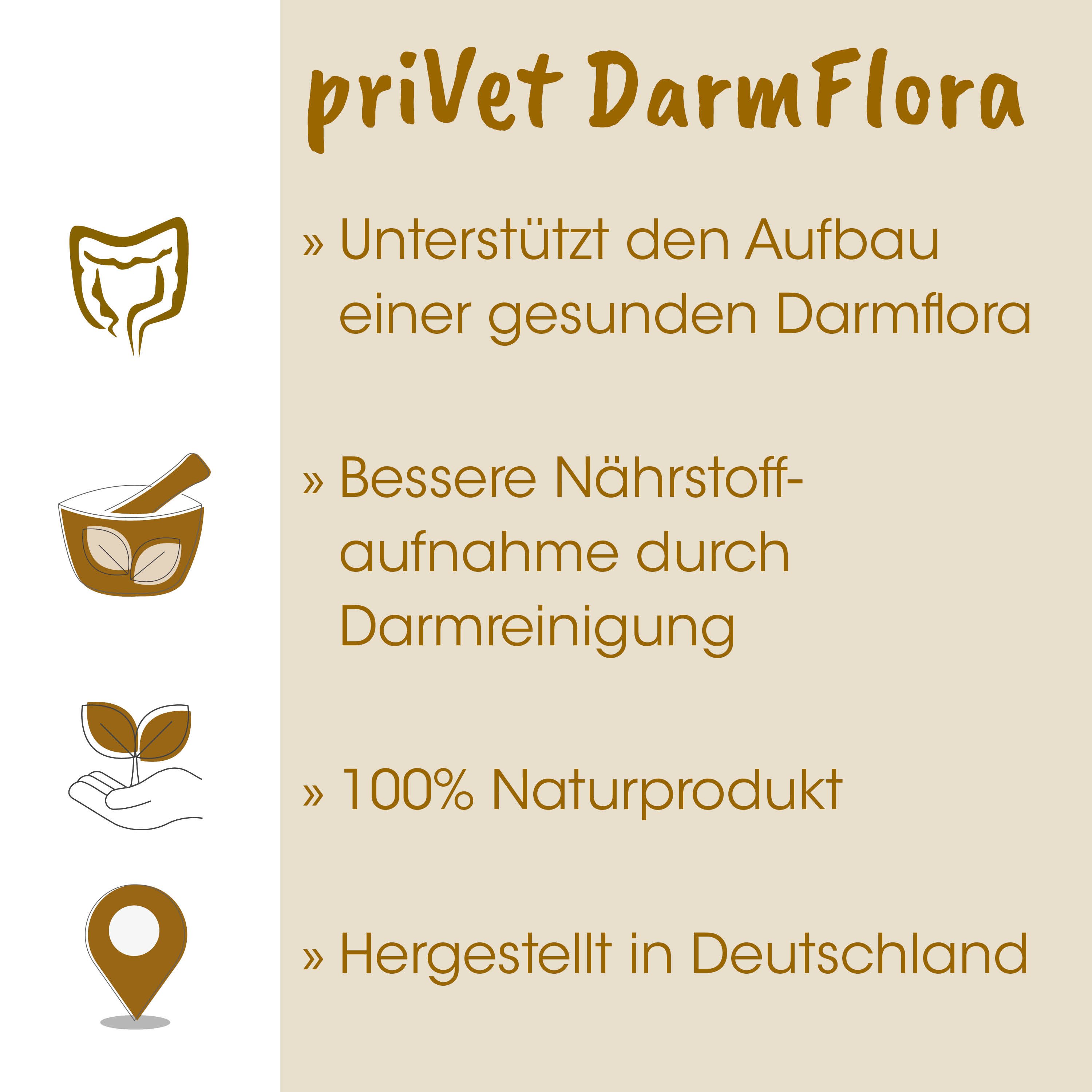  Darmflora, Probiotikum, 100% Naturprodukt, Made in Deutschland, Nahrungsergänzung 