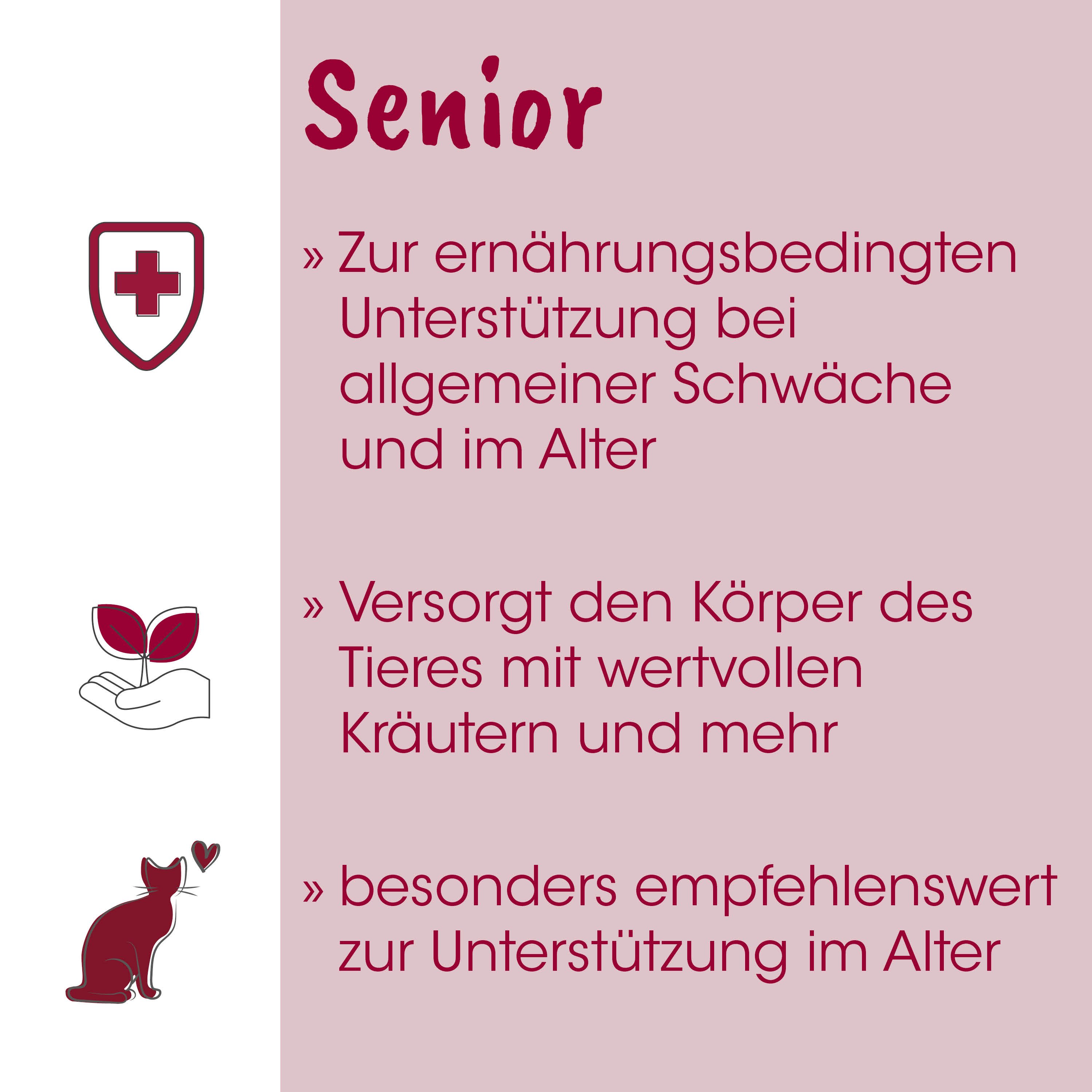 poster, infografik, senior, ernährung, pflanzen