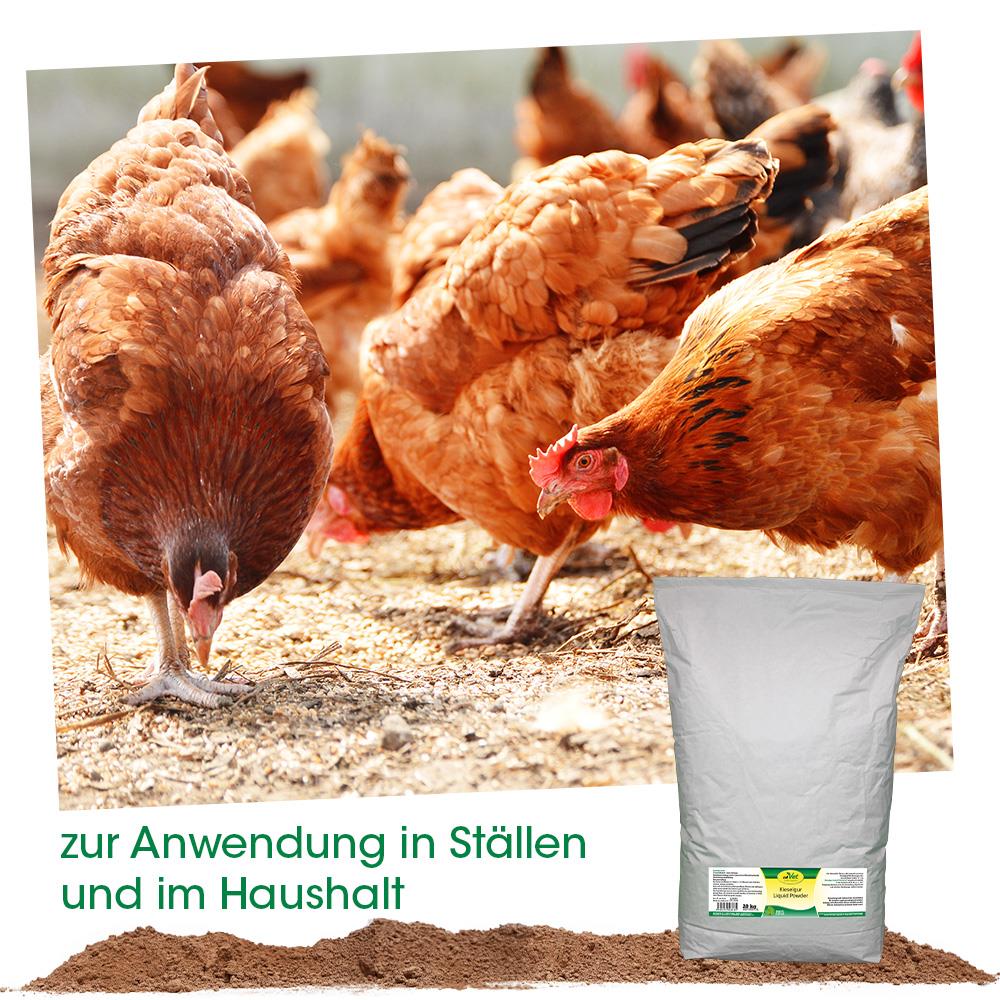 Kieselgur Liquid Powder 20 kg