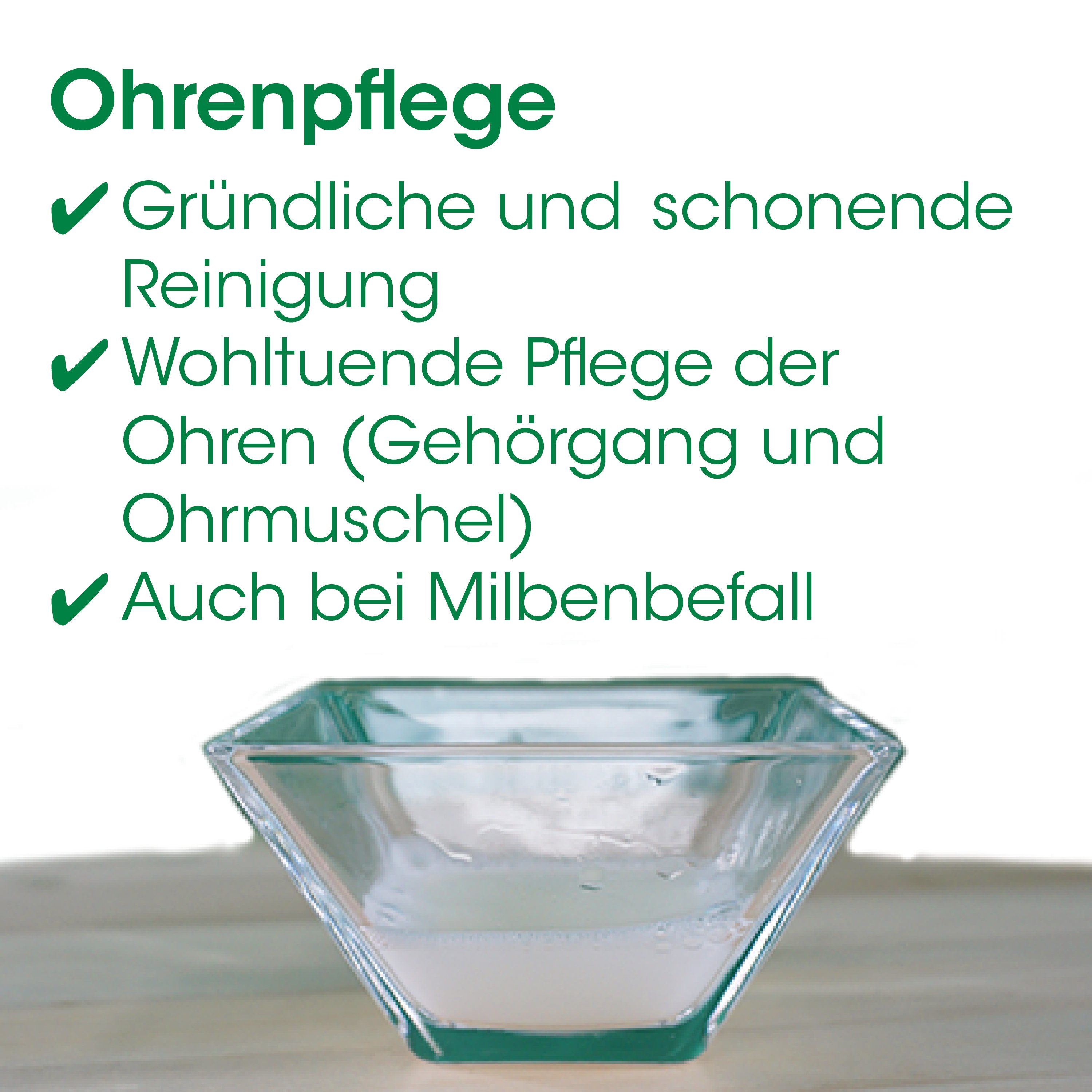 Ohrenpflege, Glasform, Schalenform, Reinigung, Standbild