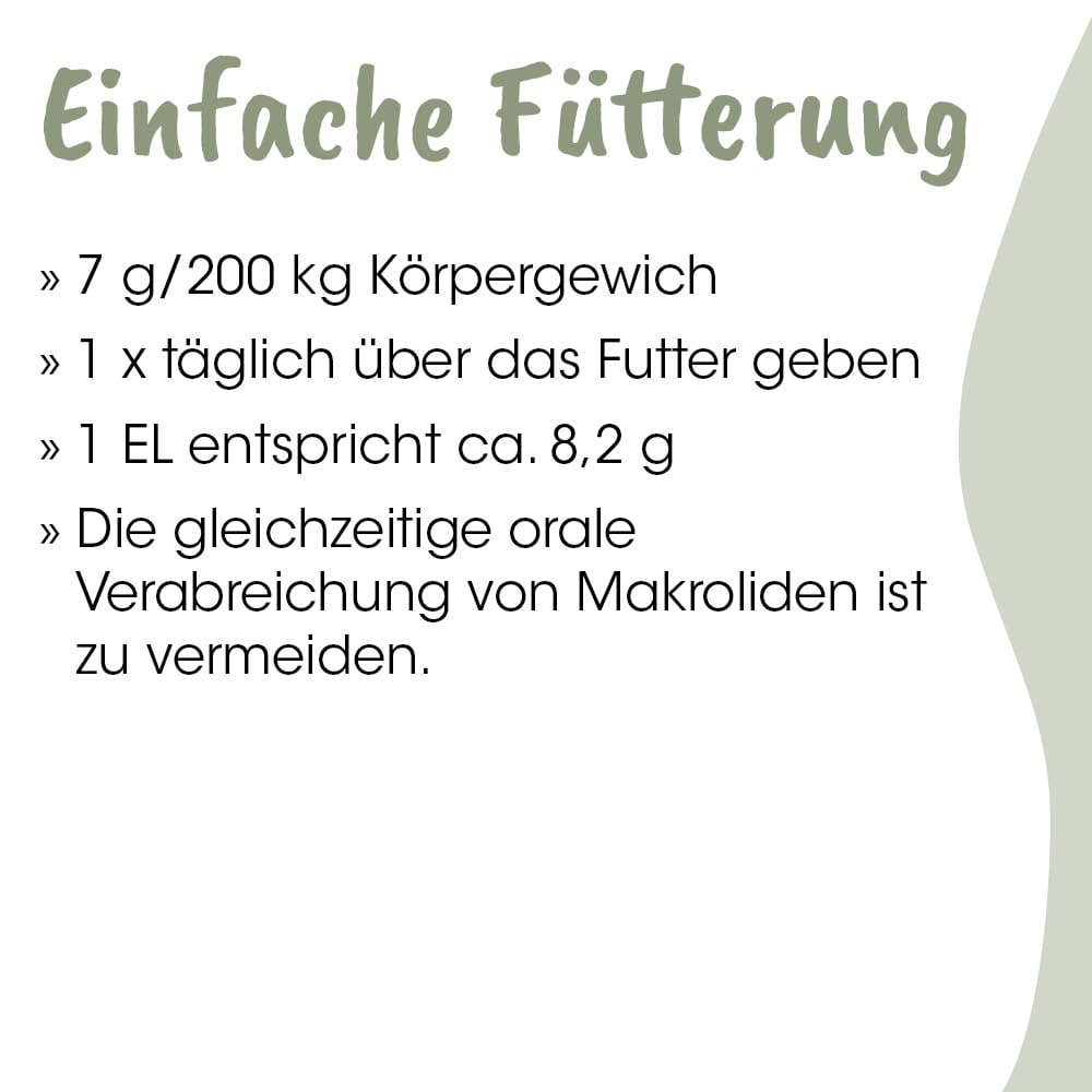 Futter, Makroleben, Katzenfutter, Futterration, Körperlgröße