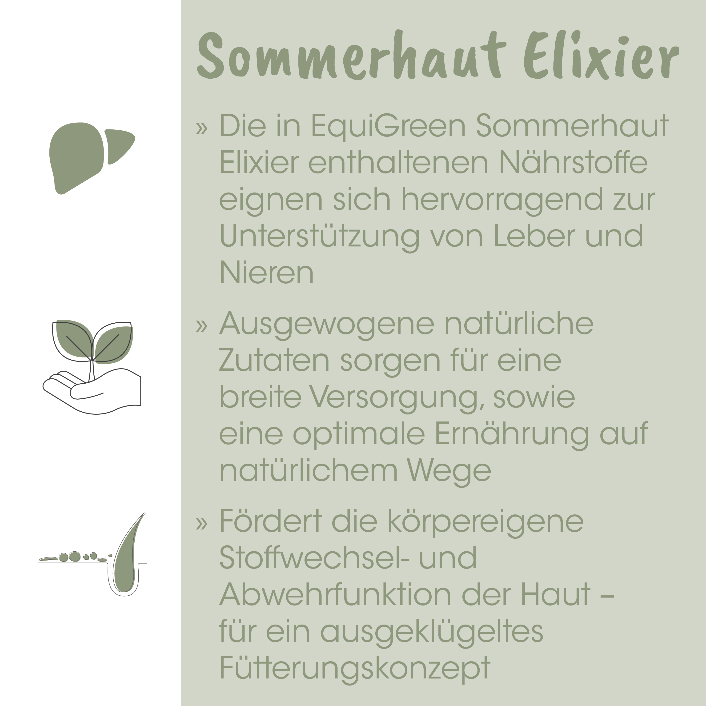 Sommerhut, Elixier, Sommerhut Elixier, Nährstoffe, Lebensmittelzusatz