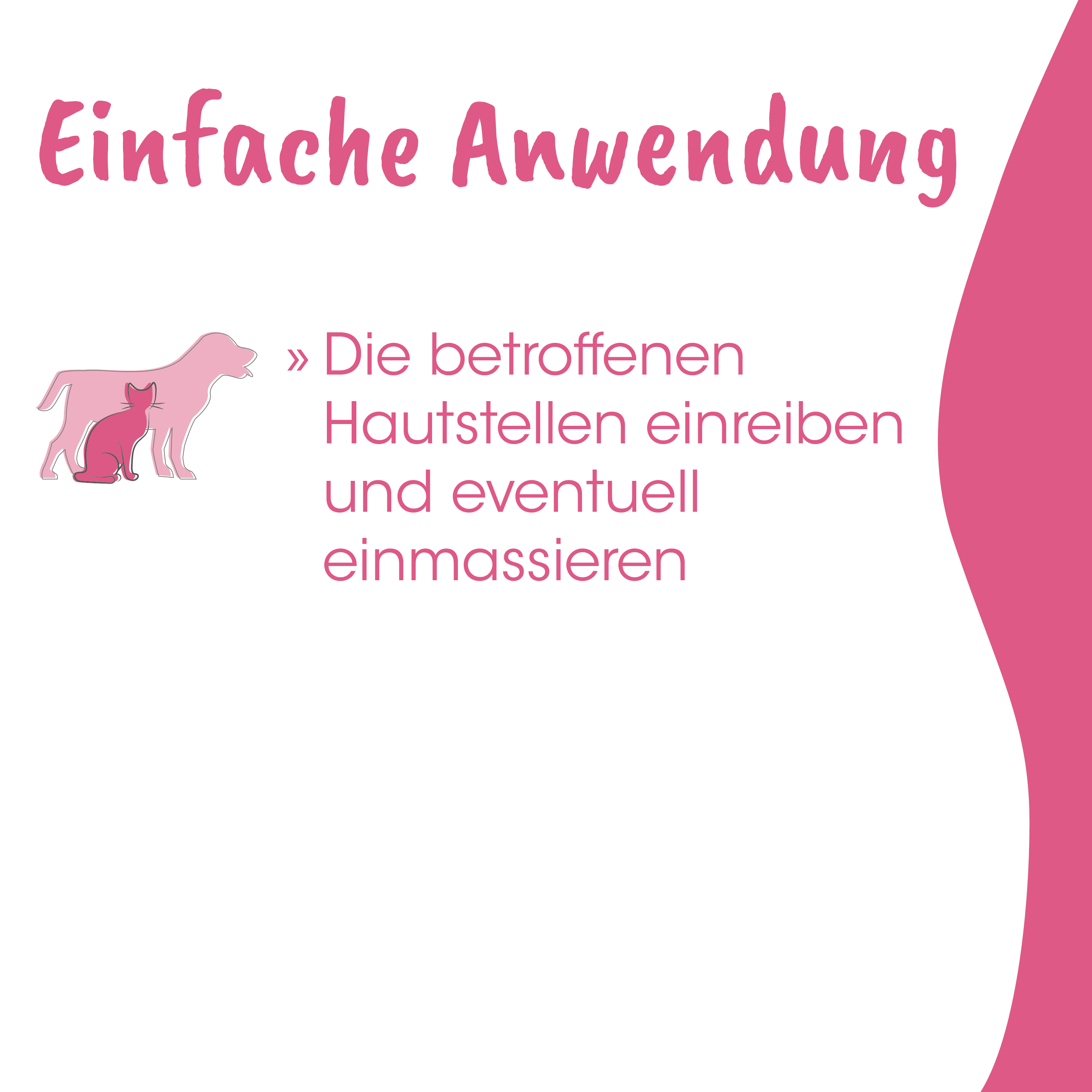 pink, katze, hund, illustration, tierarzt
