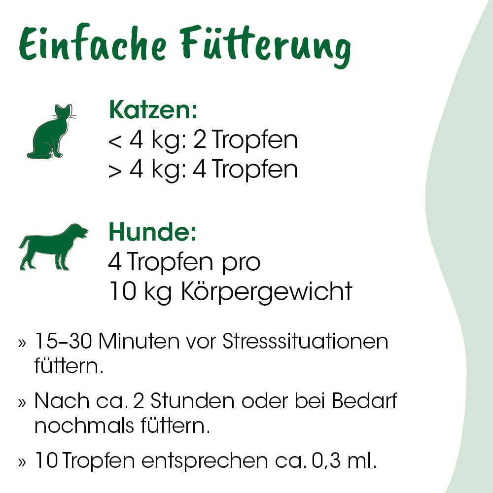 Katzenfutter, Tierfutter, Trockenfutter, Ernährung, Katzennahrung