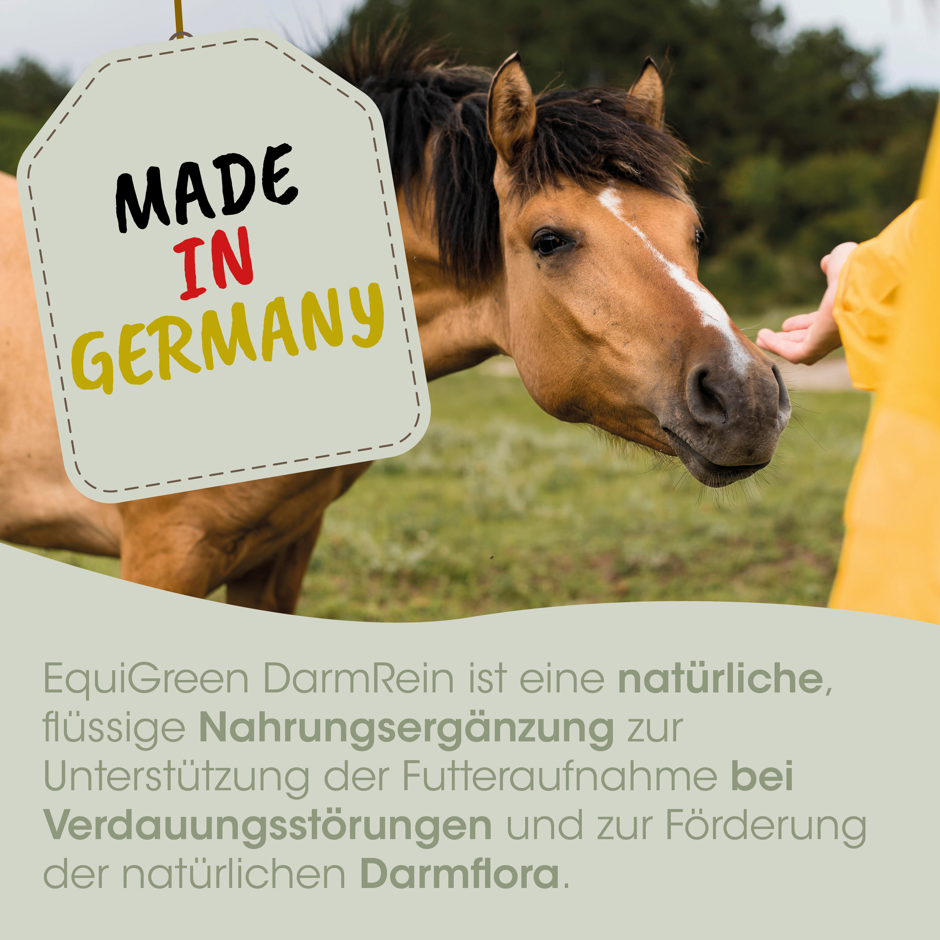 Pferd, braun, western, hand, marke