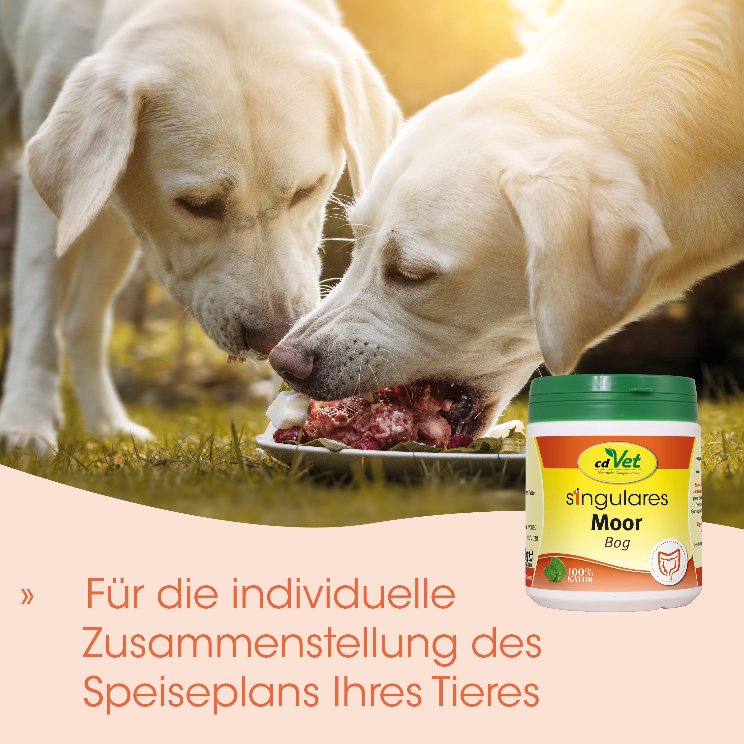 Hund, Hundefutter, Nassfutter, Knochen, Hundemahlzeit
