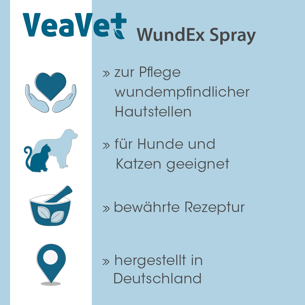 Bär, Tierwelt, Werbung, Hund, Plakat