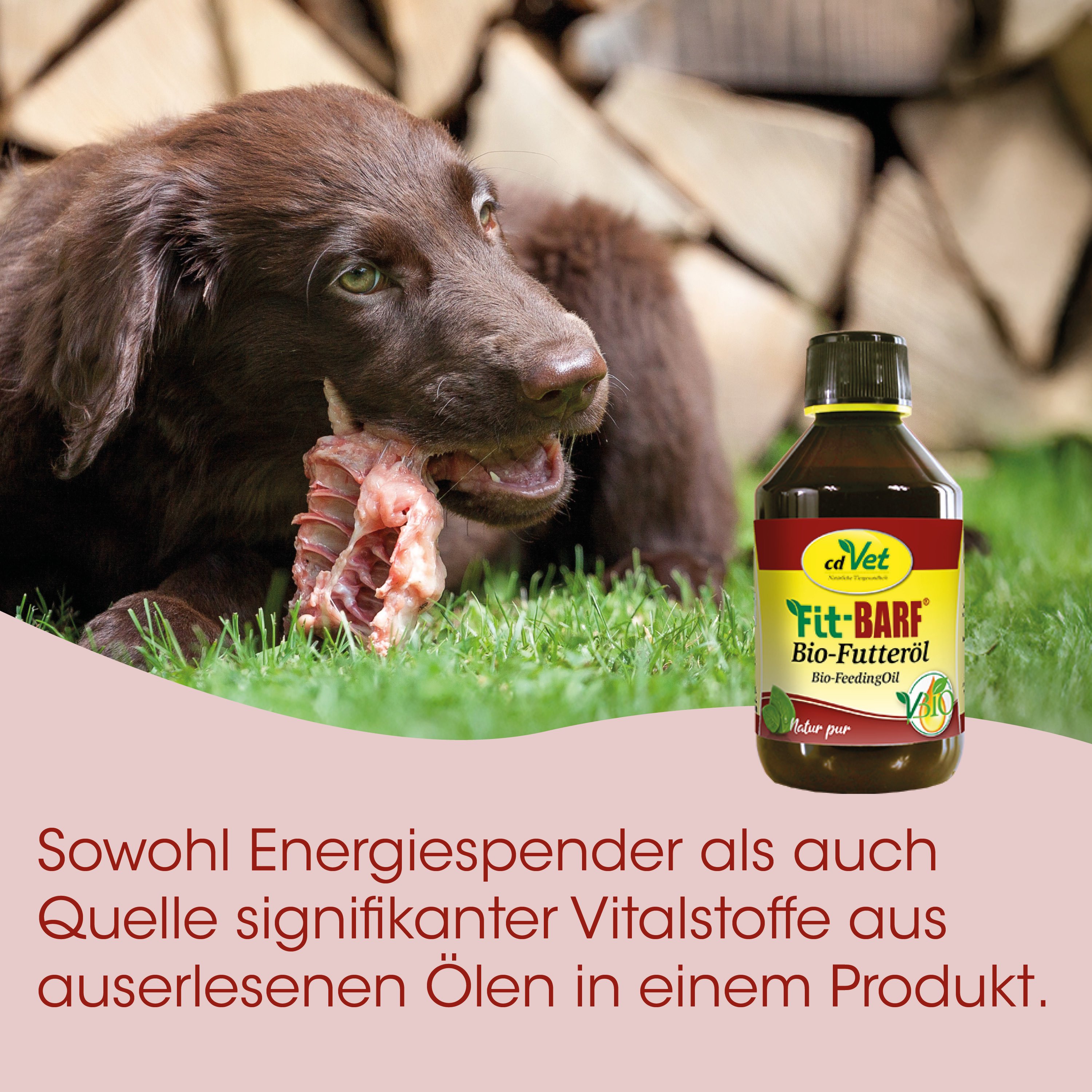 Hundefutter-Öl, Bio-FeedingOil, Futtermittel, Tiernahrung-Flasche, Bio-Produkt