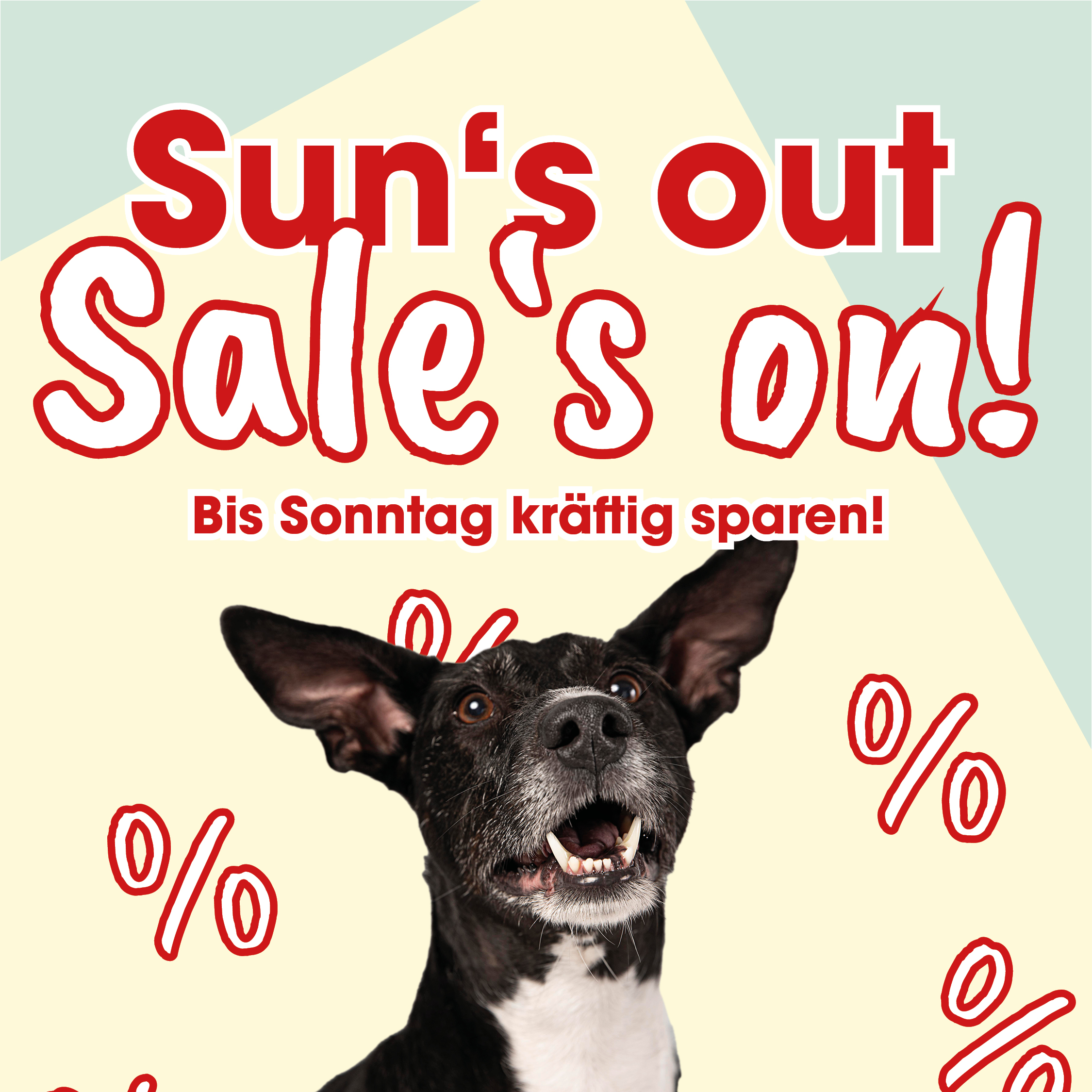 Tier, Hund, Säugetier, Haustier