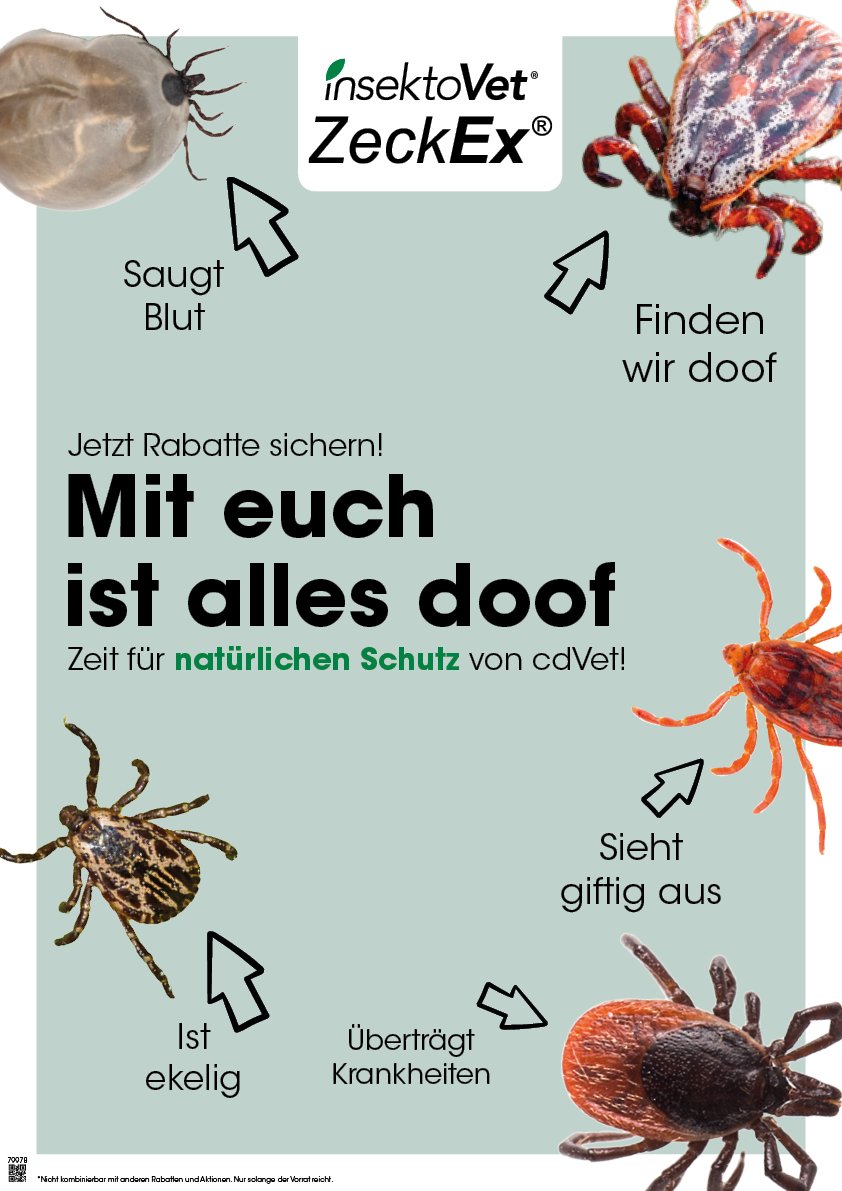 Hummer, Meeresfrüchte, Zecke, Spinne, Insekt