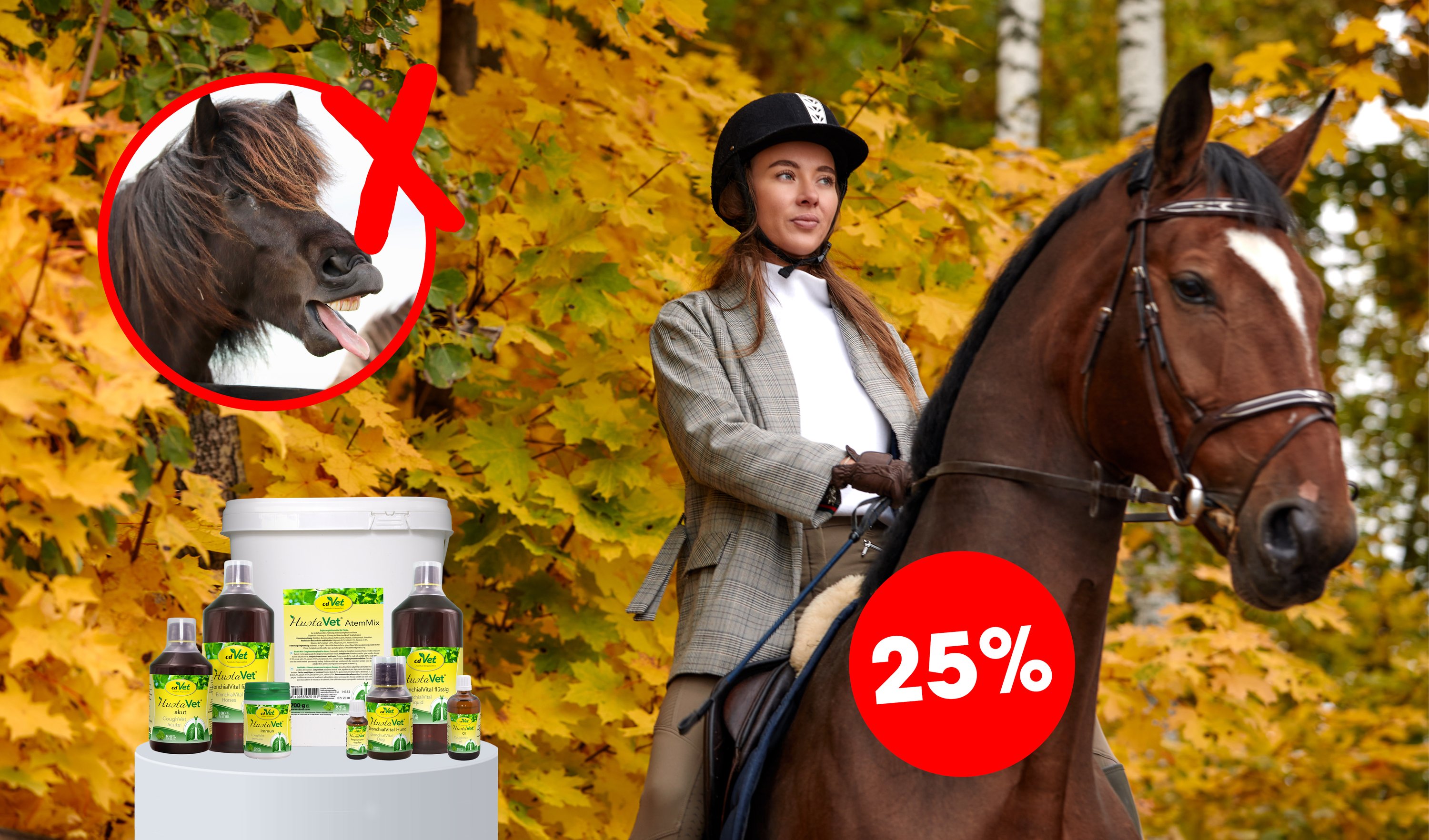 Pferd, Pumpen?, Herbst, Produkte