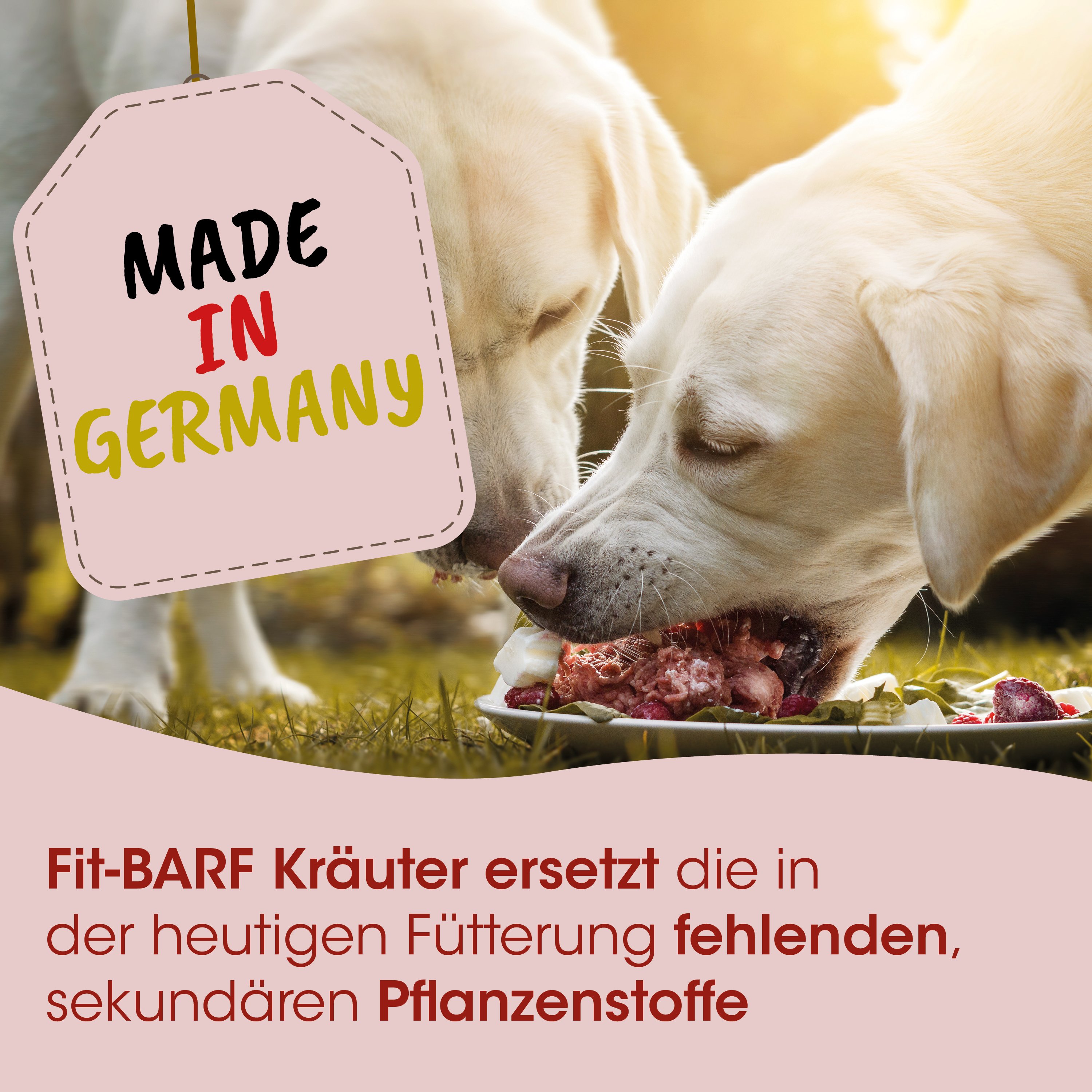 Hunde-Futter, Knochenfutter, Futter barf, Hunde-Leckerli, Knochenstücke