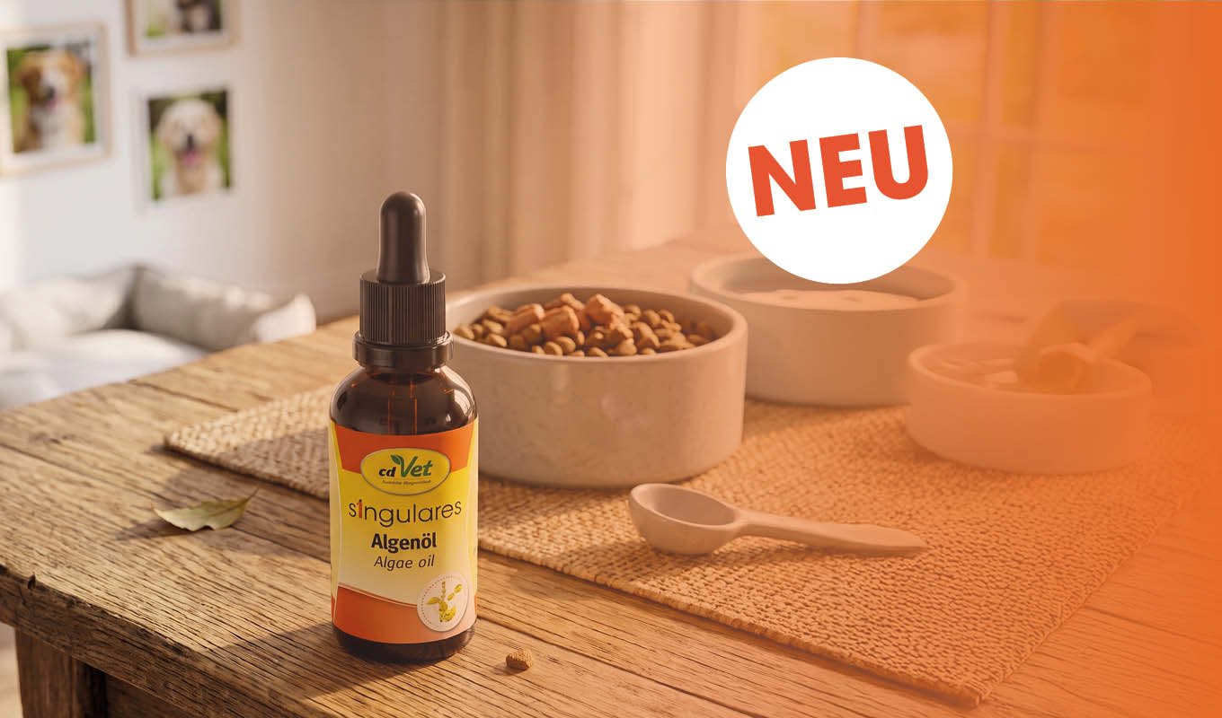 Algenöl, Algae oil, Futtermittel, Tierarzt, Ölflasche