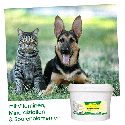 MicroMineral plus Hund & Katze 4 kg