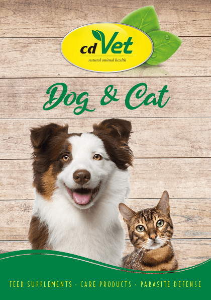 Broschüre Hund/Katze, englisch, A5