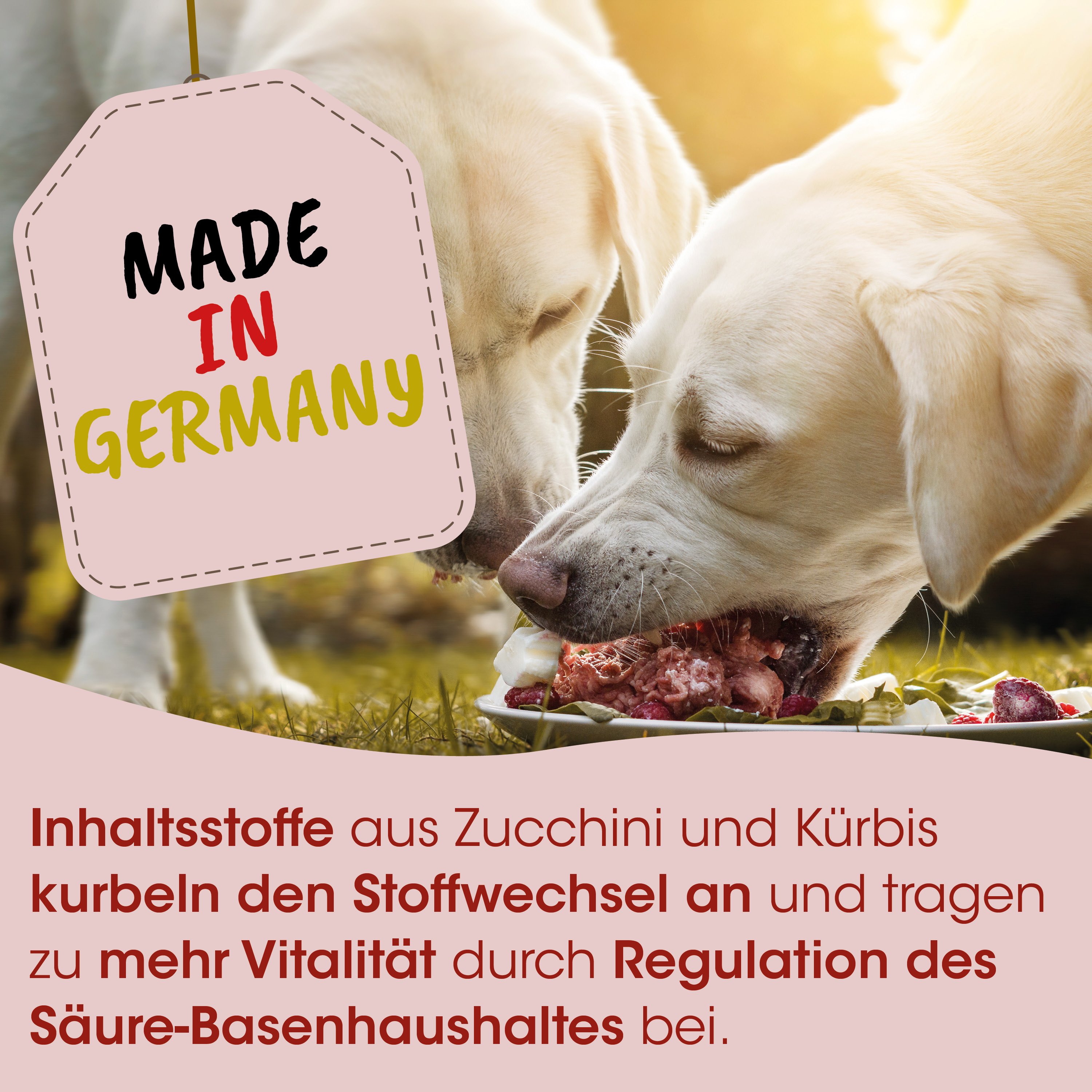 Hunde-Nassfutter, Zucchini, Kürbis, fleischbasierend, Made in Germany