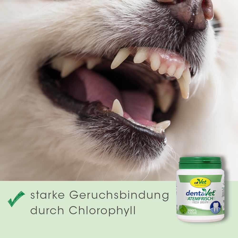 dentaVet Atemfrisch 350 g