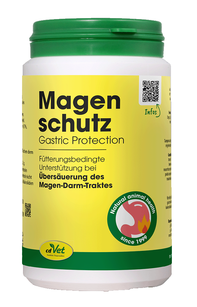 Magen Schutz, Gastric Protection, Futterungsbedingte Unterstützung, Magen-Darm-Trakt, Naturheilkunde