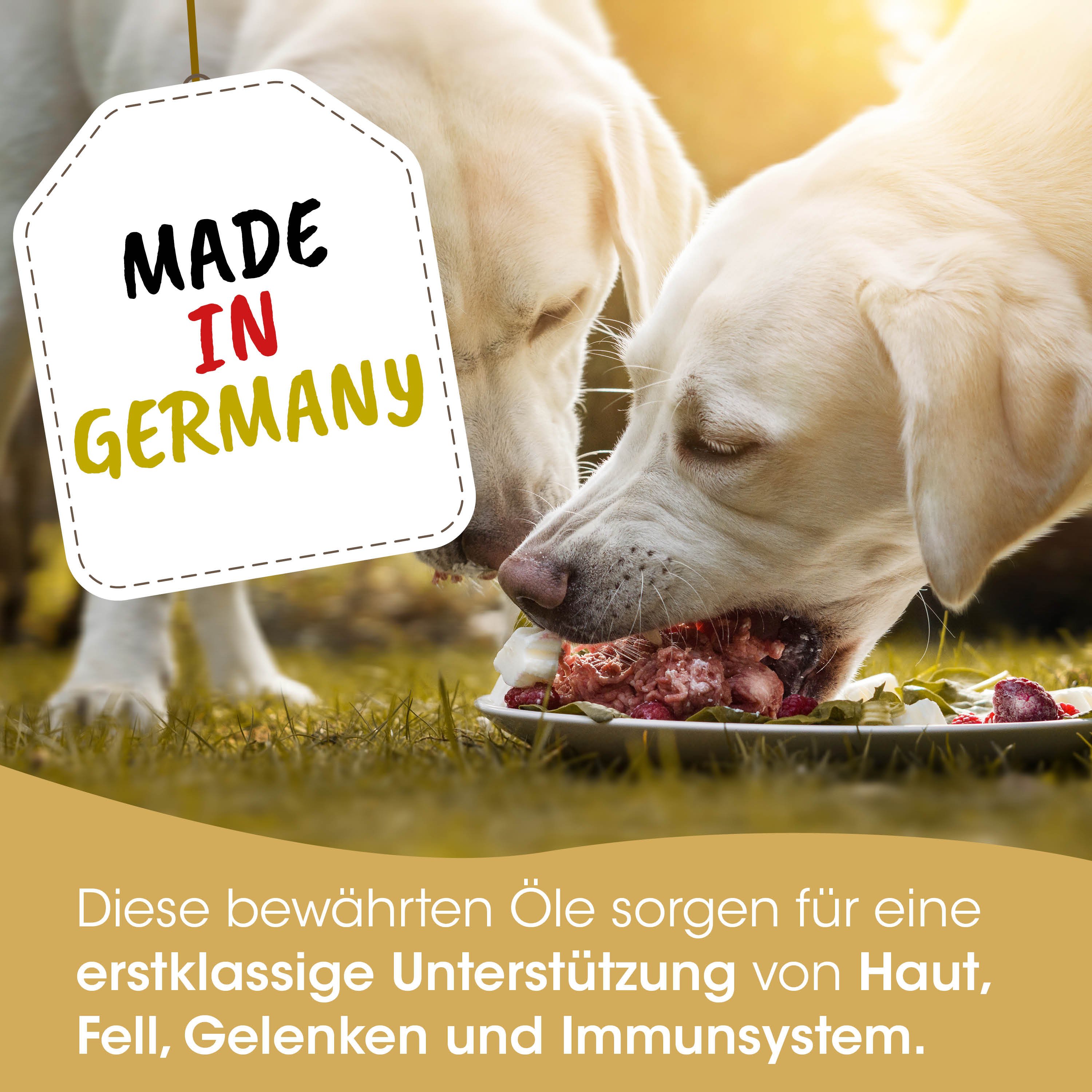 Hunde-Nahrung, Kauen, Fleischgerichte, Tiernahrung, Made in Germany