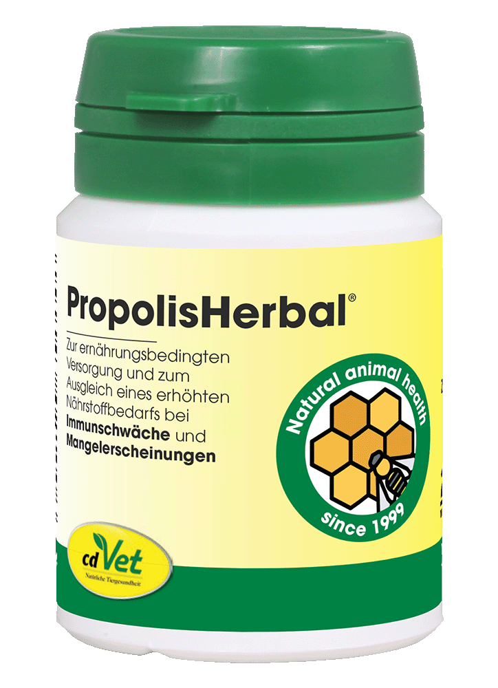 Propolis, Herbal, Nahrungsergänzung, Immunsystem, Futterzusatz
