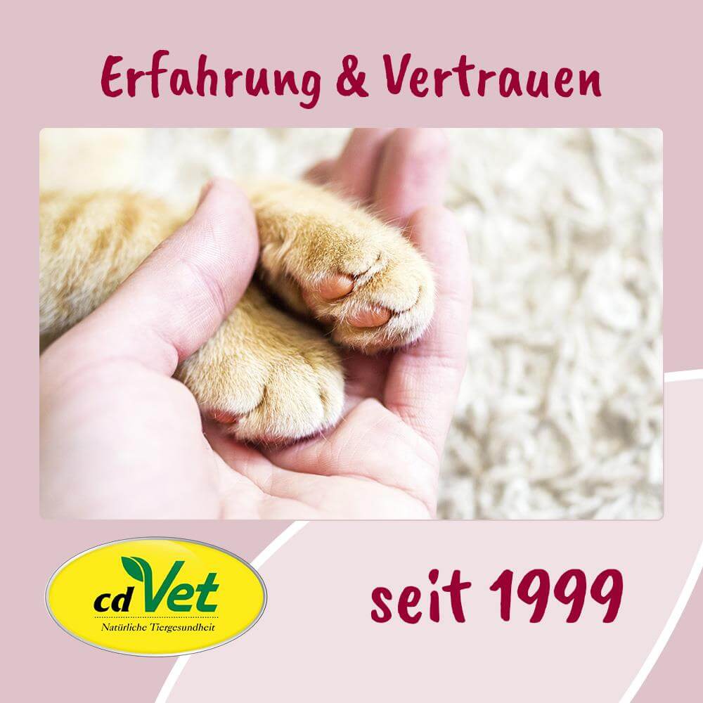 Pfote, Katzenpfote, Pfote Fell, weiches Fell, Tierarzt-Logo