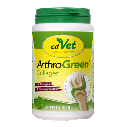 ArthroGreen Collagen 130 g