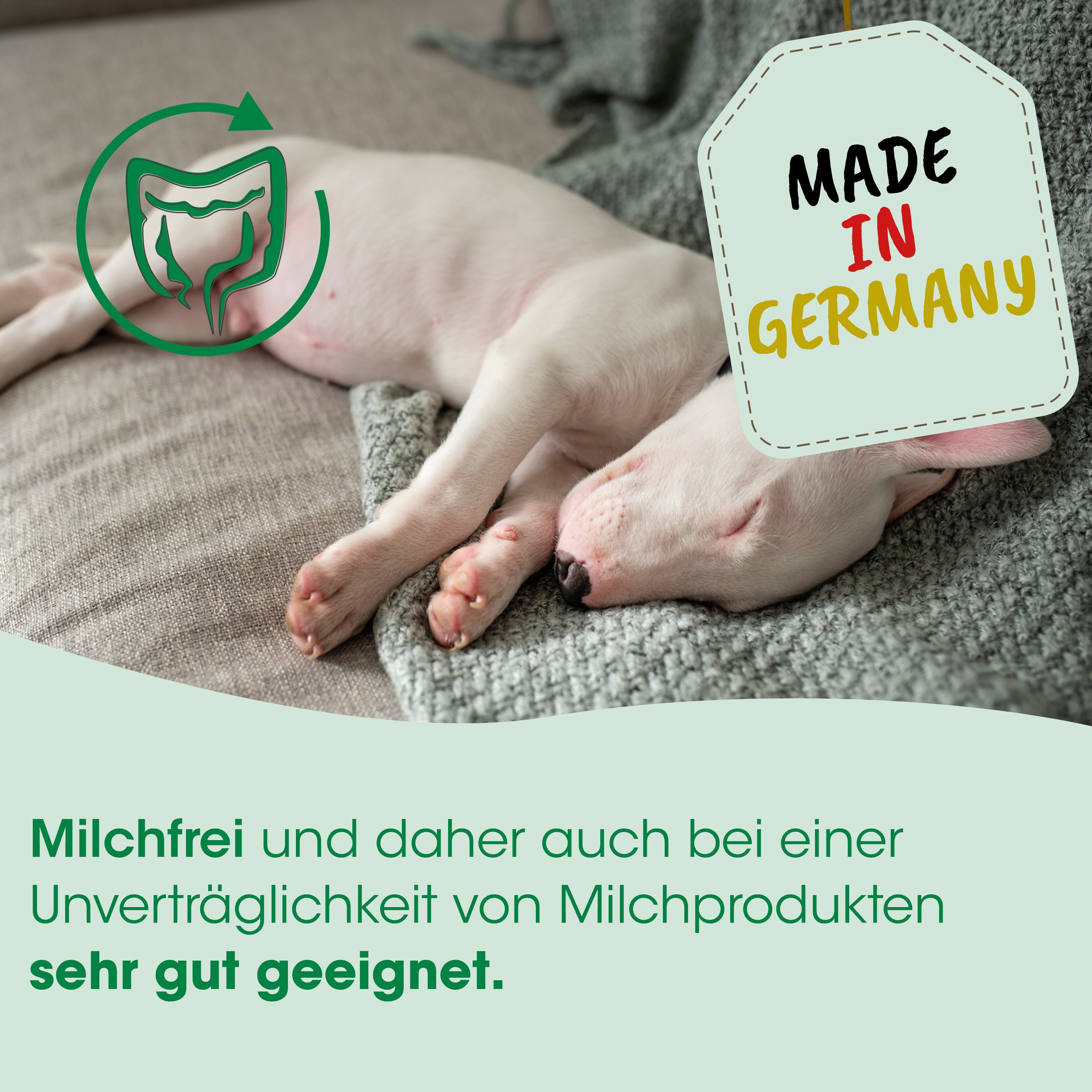 Welpen, Milchfrei, Tierarzt empfohlen, Hundeernährung, Made in Germany